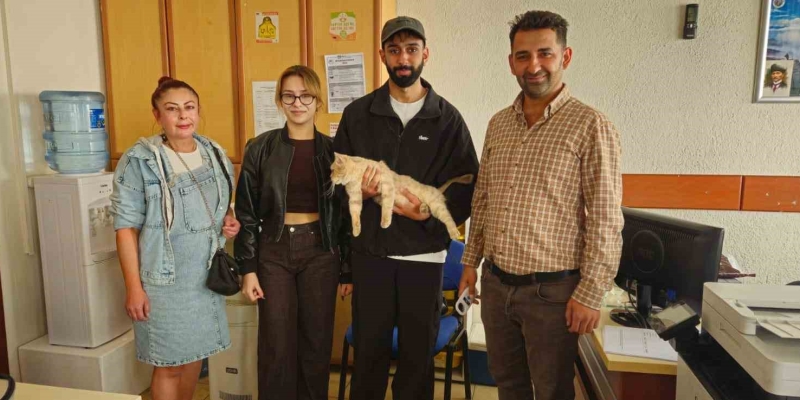 Çip sayesinde kayıp kedi kısa sürede sahibine kavuştu