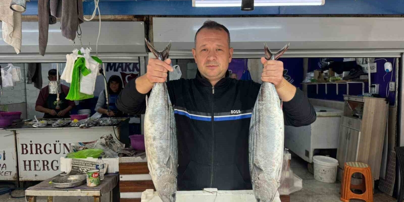 Bandırma Balık Hali’nde sezon hareketliliği başladı
