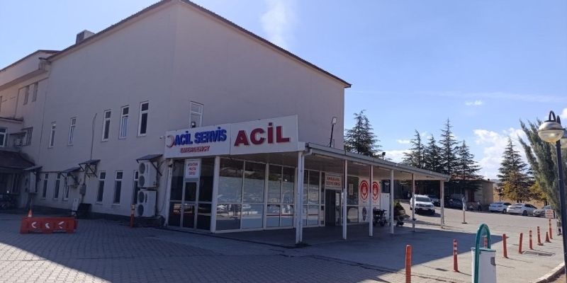 Kahramanmaraş’ta arının soktuğu çocuk hayatını kaybetti