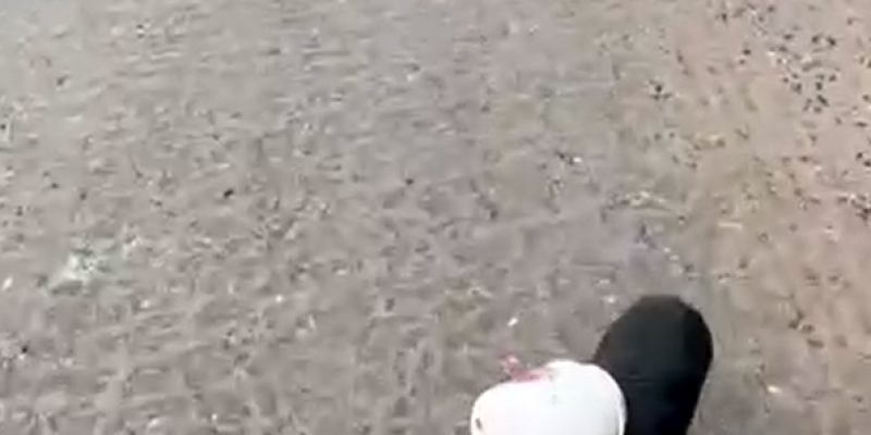 Yalova’da kamyon sürücüsü kafası plastik kaba sıkışan yavru köpeği kurtardı