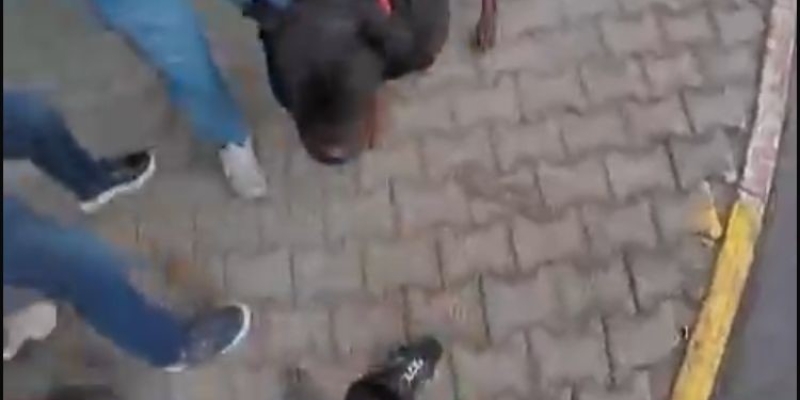 Sokakta ağızlıksız gezdirilen ’Rottweiler’ cinsi köpek dehşet saçtı... O anlar kamerada