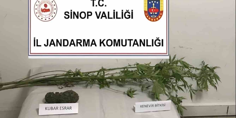 Sinop’ta kenevir ve kubar esrar ele geçirildi