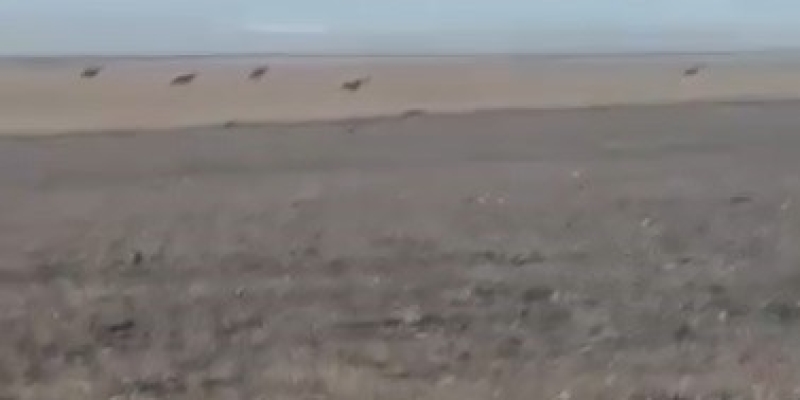 Kars’ta köye inen kurt sürüsü kamerada
