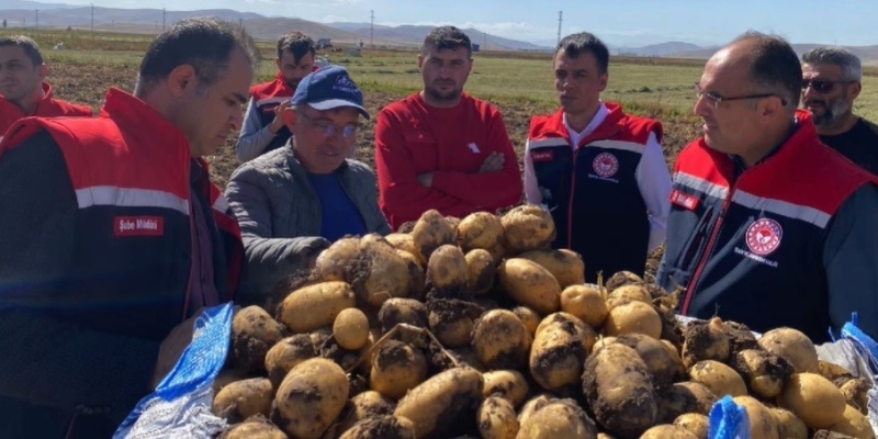 Bayburt’ta patates hasadına başlandı