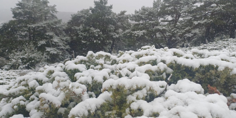 Tokat yükseklerinde kar, kent merkezinde yağmur etkili oldu