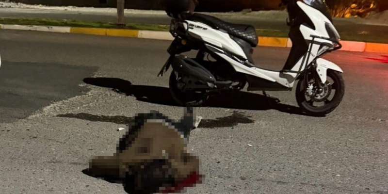 Bıçaklandı, motosikletiyle hastaneye giderken hayatını kaybetti