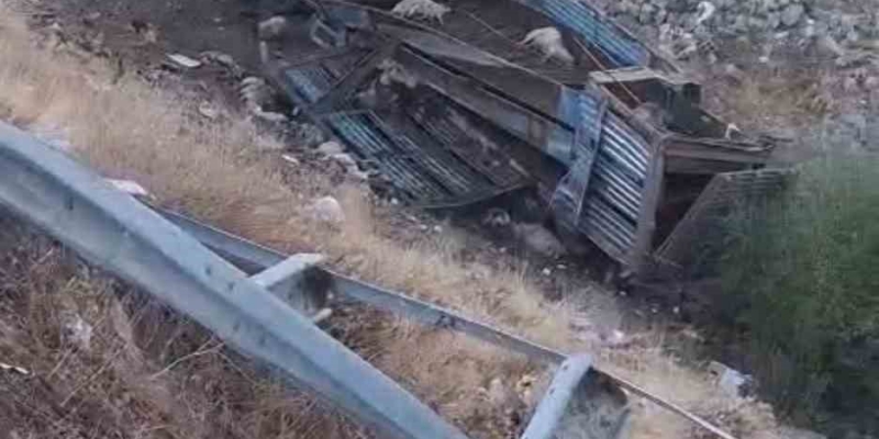 Bingöl’de hayvan taşıyan kamyon şarampole yuvarlandı: 2 yaralı, çok sayıda küçükbaş telef oldu