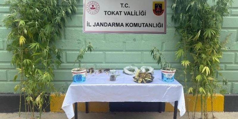 Tokat’ta jandarma ekipleri tarafından 2 ayda 56 kişi hakkında uyuşturucuya bağlı suçlarından işlem yapıldı