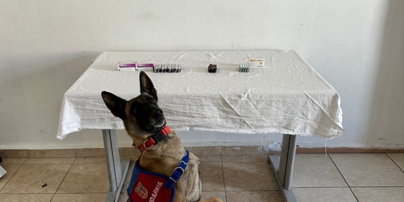 Van’da İran uyruklu şahsın üzerinden 380 adet sentetik hap ele geçirildi