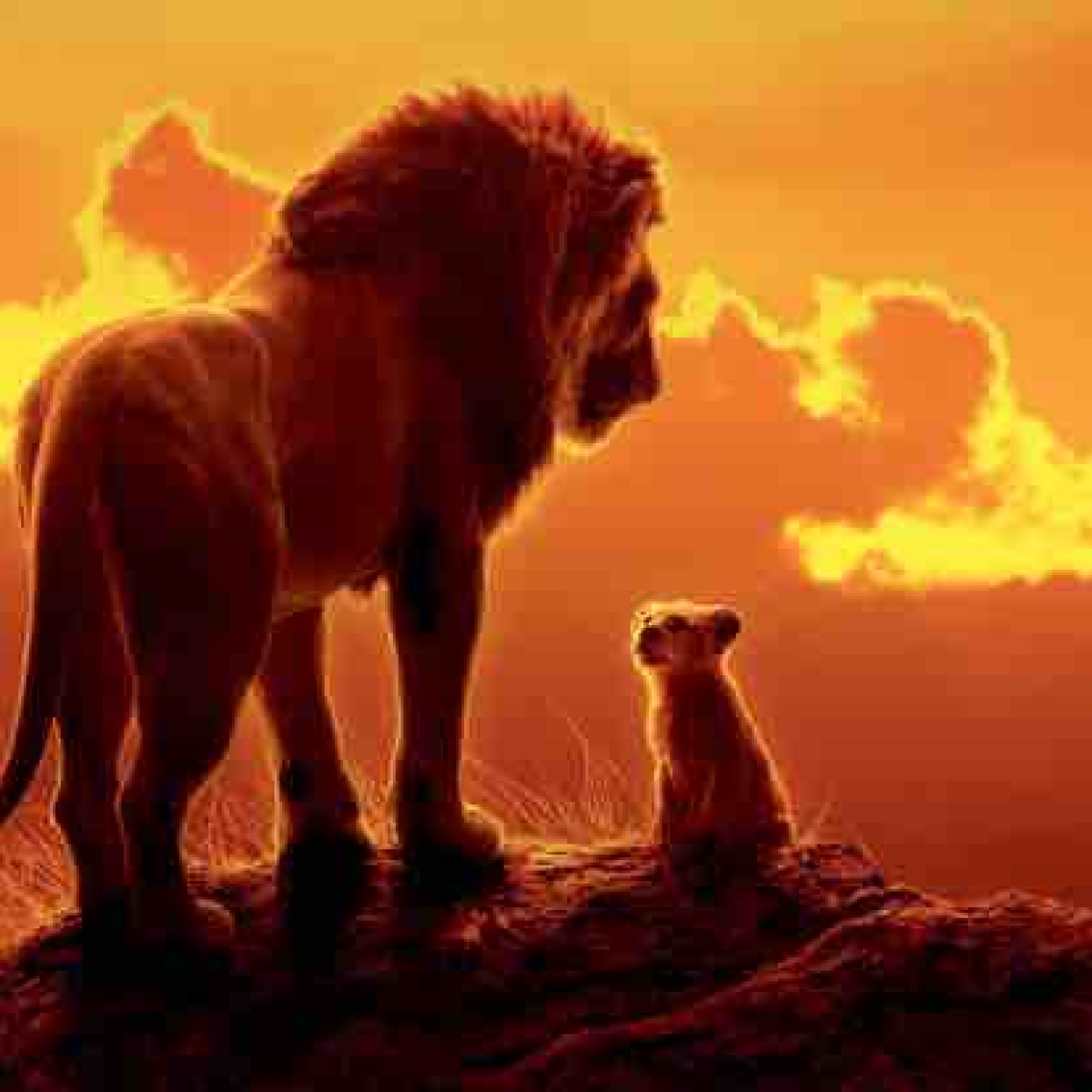 'Lion King' Türkiye'de İlk Kez İstanbul Film Orkestrası Eşliğinde İzlenecek! 